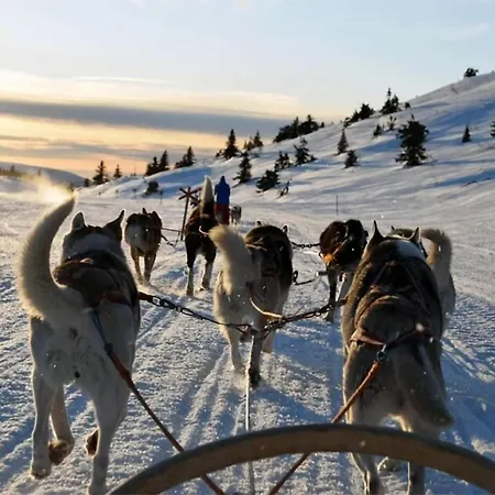 Appartement Arctic Luxe Horizon L Sea View L Balcony Tromsø