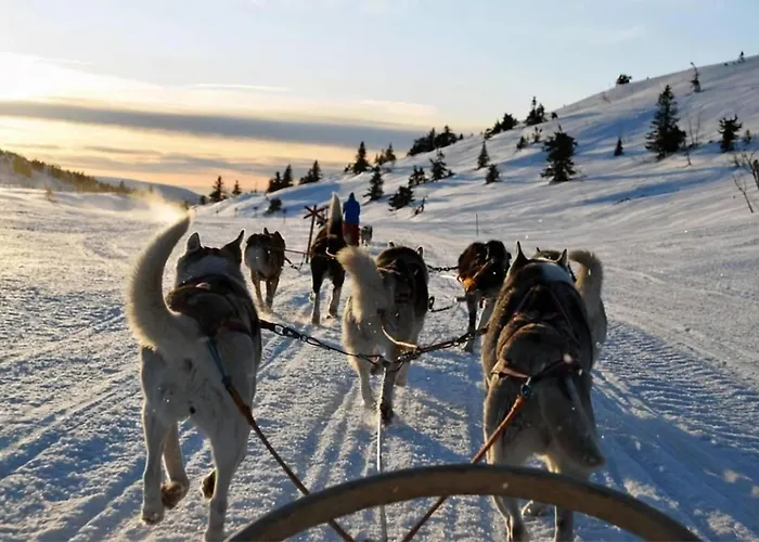 Appartement Arctic Luxe Horizon L Sea View L Balcony Tromsø